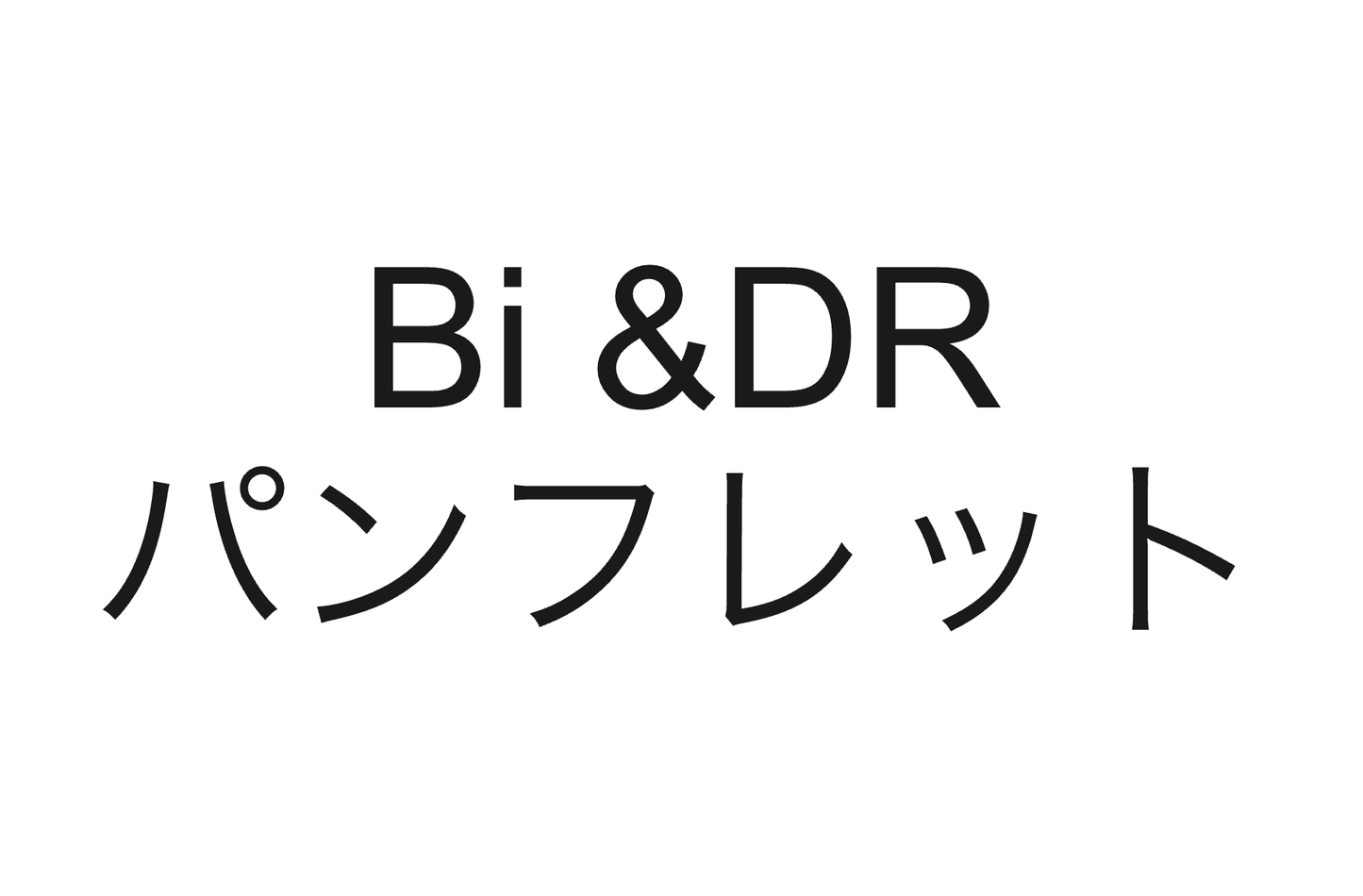 【WP】Bi&DR パンフレット×10枚 (1回のご注文につき10枚まで)